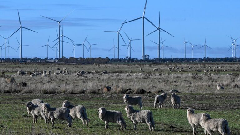 urgent-update-offshore-wind-industry-faces-major-investment-crisis