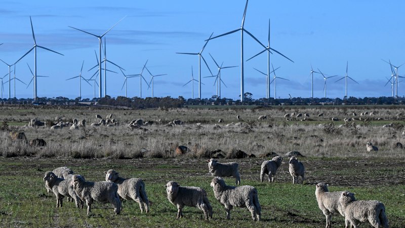 urgent-update-offshore-wind-industry-faces-major-investment-crisis