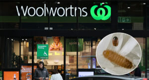 urgent-warning-khapra-beetle-detected-in-woolworths-nappies