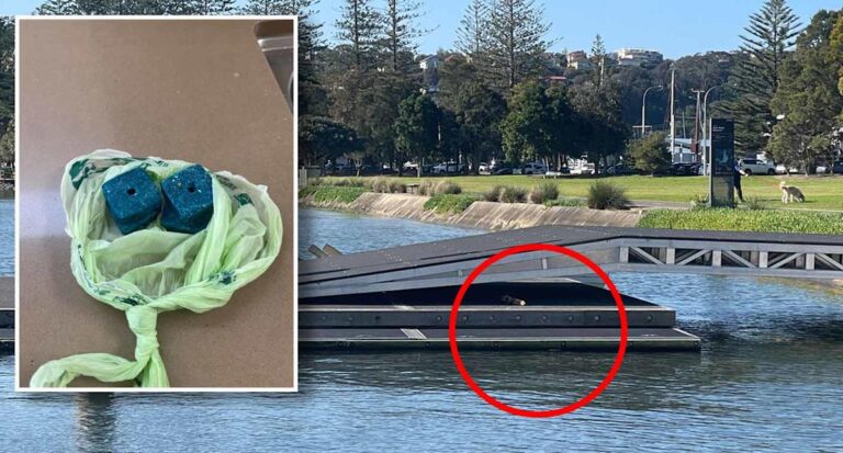 urgent-warning-rodenticide-found-at-sydney-park-endangers-pets