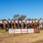willinga-campdraft-surges-to-become-queensland-s-largest-event