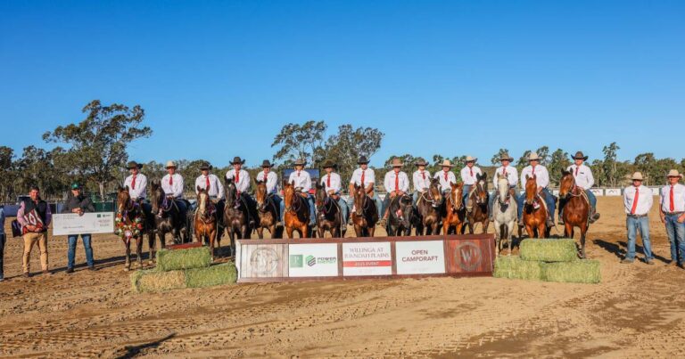 willinga-campdraft-surges-to-become-queensland-s-largest-event