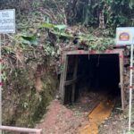 aguia-resources-discovers-new-gold-vein-system-in-colombia