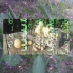 ai-revolutionizes-farming-urgent-changes-ahead-for-rural-life
