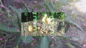 ai-revolutionizes-farming-urgent-changes-ahead-for-rural-life