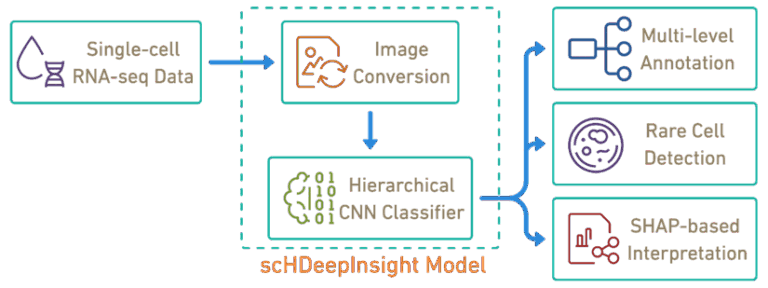 ai-tool-revolutionizes-immune-system-research-with-new-insights