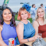 air-assault-clinches-gawler-cup-victory-in-thrilling-finish
