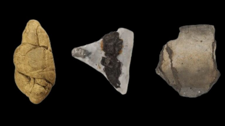 ancient-chewing-gum-provides-urgent-insights-on-neolithic-gender-roles