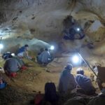 ancient-mammal-teeth-reveal-survival-strategies-amid-climate-change