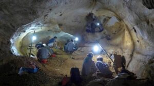 ancient-mammal-teeth-reveal-survival-strategies-amid-climate-change