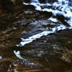 ancient-microbes-resurrected-from-alaskan-permafrost-after-40-000-years