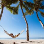 asx-stock-washington-h-soul-pattinson-hits-record-dividend-growth