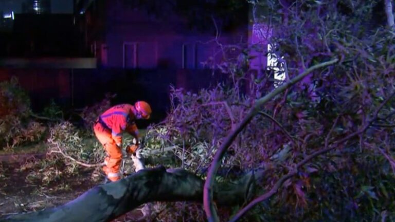 australia-faces-urgent-weather-alerts-storms-and-heatwave-hit