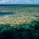 australia-s-world-heritage-sites-in-crisis-25-decline-reported
