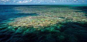 australia-s-world-heritage-sites-in-crisis-25-decline-reported