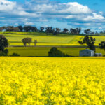 australian-farmland-values-plunge-record-low-sales-confirmed