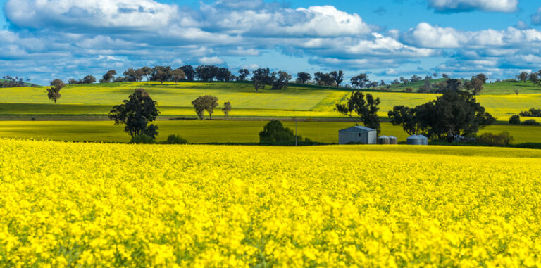 australian-farmland-values-plunge-record-low-sales-confirmed