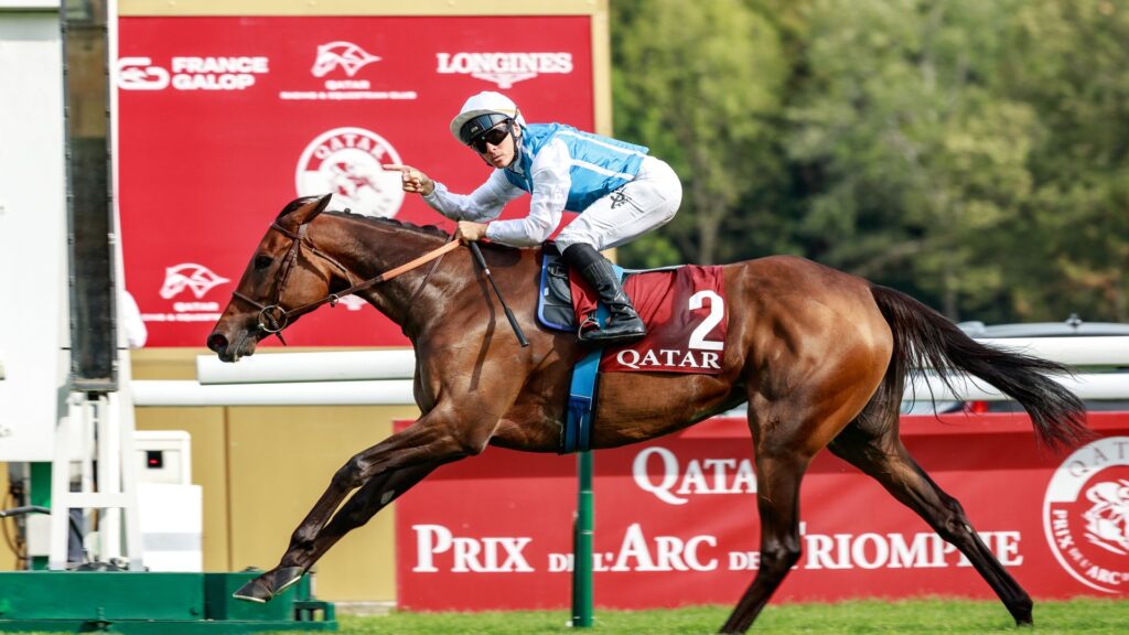 aventure-aims-for-glory-in-prix-de-l-arc-de-triomphe