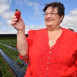bacchus-marsh-festival-set-to-attract-40-000-this-november