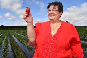 bacchus-marsh-festival-set-to-attract-40-000-this-november