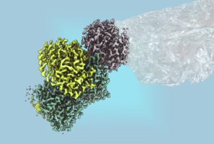 bacterial-enzyme-offers-sustainable-path-for-ethylene-production