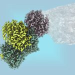 bacterial-enzyme-unlocks-sustainable-ethylene-production