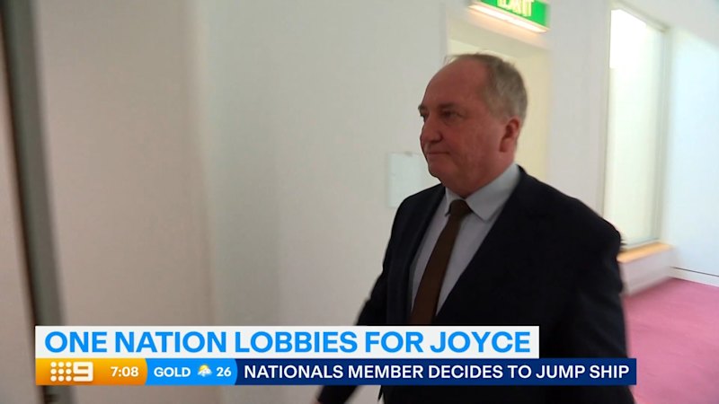 barnaby-joyce-in-urgent-talks-with-one-nation-s-pauline-hanson