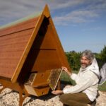 beekeeper-innovates-bee-healing-huts-for-mental-health-benefits