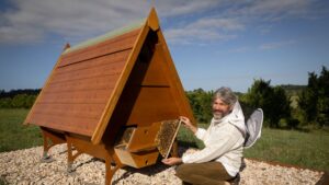 beekeeper-innovates-bee-healing-huts-for-mental-health-benefits