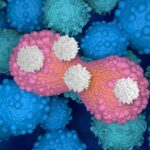 breastfeeding-linked-to-long-lasting-immune-protection-against-cancer