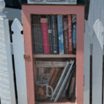 brisbane-woman-faces-council-battle-over-street-library