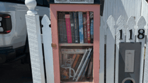 brisbane-woman-faces-council-battle-over-street-library