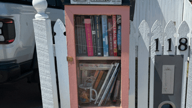 brisbane-woman-faces-council-battle-over-street-library