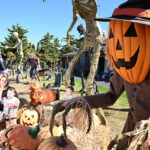 brookfield-s-halloween-display-raises-funds-for-charity-join-now-