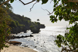 christmas-island-shrew-declared-extinct-sound-lost-forever