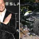 critics-warn-tesla-s-autonomy-is-not-ready-for-australian-roads