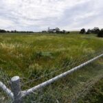 development-victoria-cuts-300-homes-in-cairnlea-project-revamp
