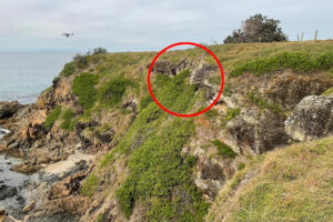drones-tackle-destructive-bitou-bush-invasion-along-aussie-coast