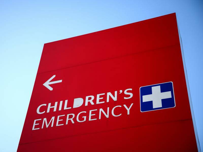 e-bike-regulations-urgently-reviewed-after-tragic-fatalities