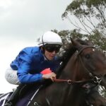 el-qasabi-aims-for-redemption-at-hawkesbury-after-tough-start