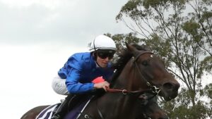 el-qasabi-aims-for-redemption-at-hawkesbury-after-tough-start