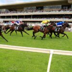 exciting-races-ahead-tips-and-previews-for-warwick-farm-on-march-18