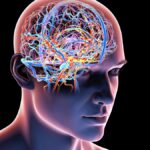 expert-insights-on-maintaining-cognitive-sharpness-with-age