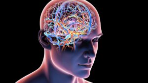 expert-insights-on-maintaining-cognitive-sharpness-with-age