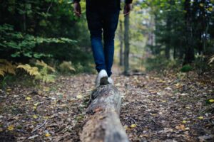explore-quadrobics-the-new-fitness-trend-that-mimics-animals
