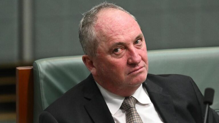 former-nationals-leader-barnaby-joyce-quits-amid-turmoil