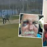 guards-walk-off-job-after-slap-on-the-wrist-sentence-for-attacker