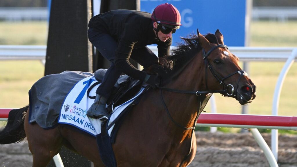 Melbourne Cup Runners Continue Preparations