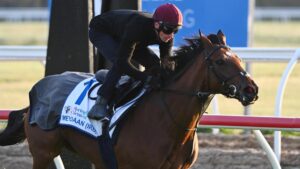 Melbourne Cup Runners Continue Preparations
