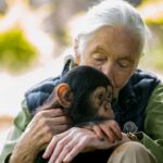 jane-goodall-renowned-chimpanzee-advocate-dies-at-91